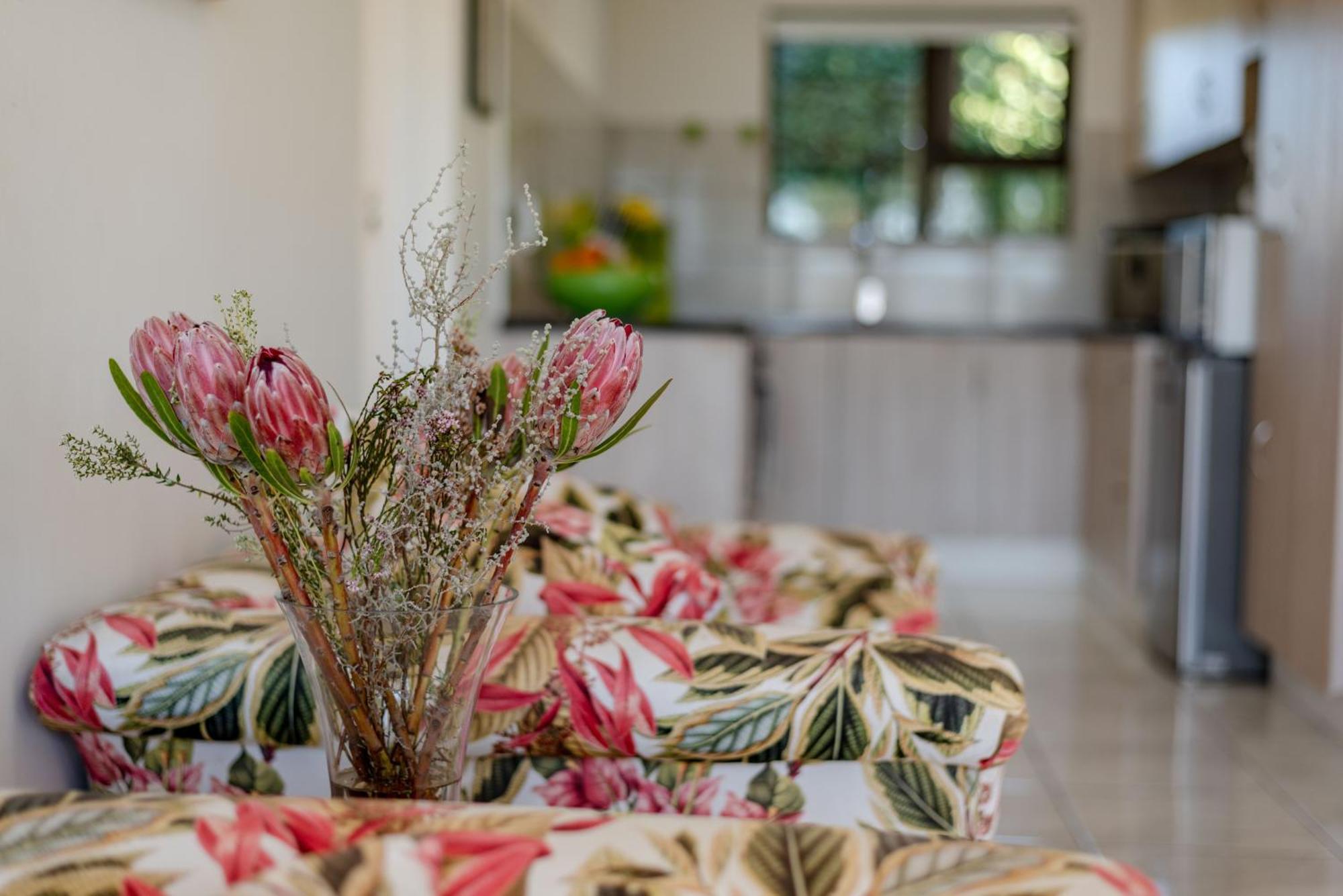Elephant View Homestead Plettenberg Bay Esterno foto