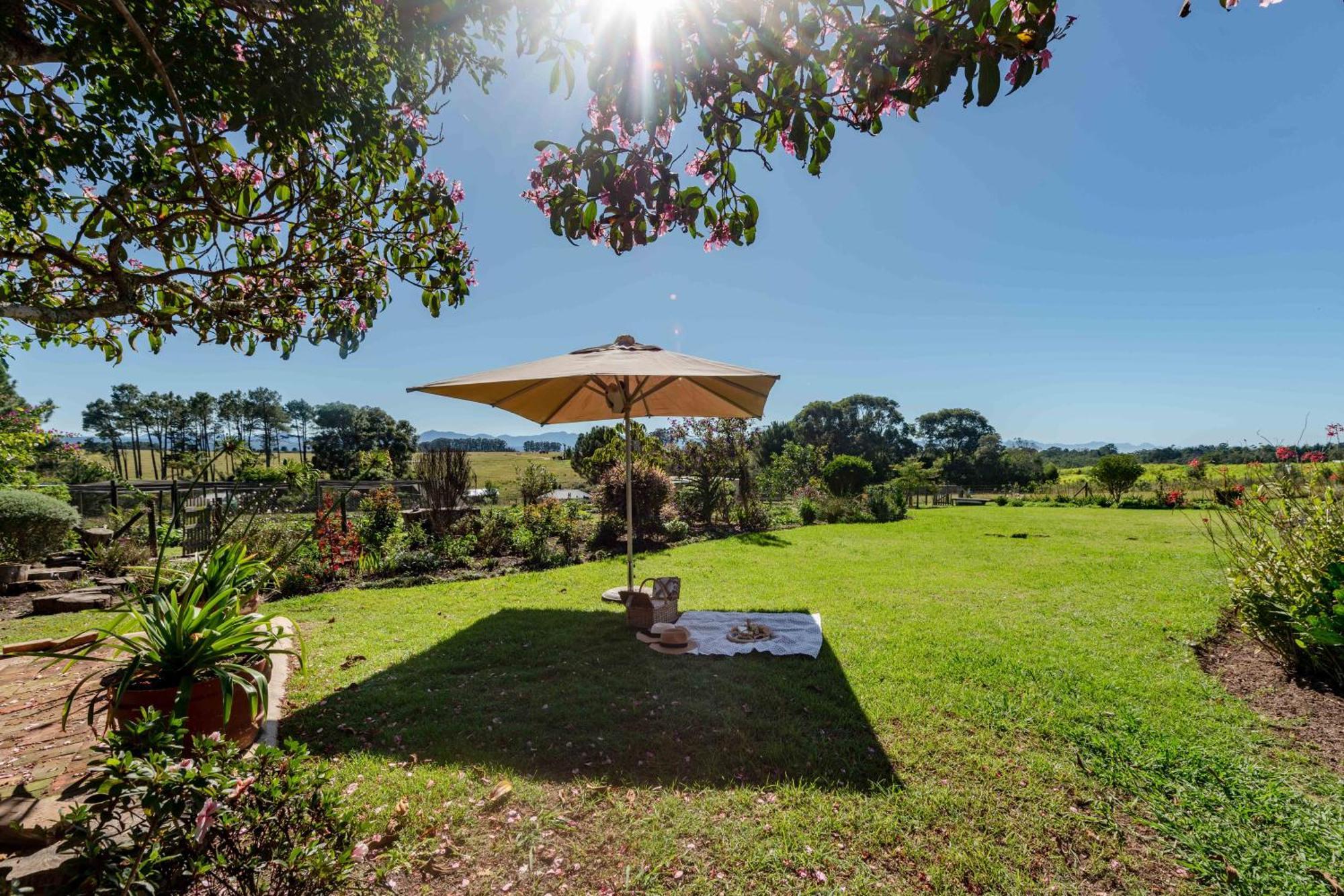 Elephant View Homestead Plettenberg Bay Esterno foto